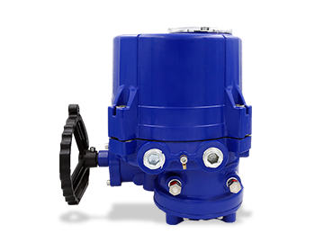 Multi-turn electric actuator