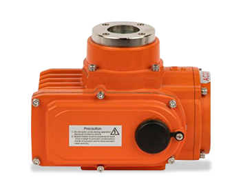 Anti-duplicate electric actuator