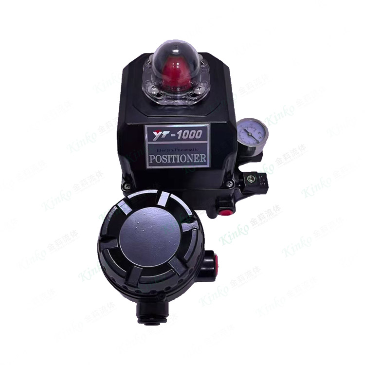 Positioner with switch indicator